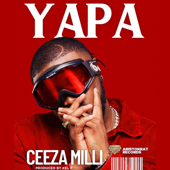 Cover artwork for Yapa