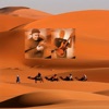 Desert Sand - Single