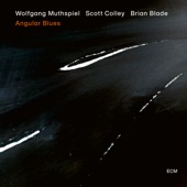 Wolfgang Muthspiel, Scott Colley, Brian Blade - Ride