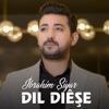 Dil Diêşe - Single