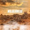 Wilderness (feat. Samad Savage) - Single