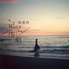 趙晨風 - 记忆伤痕