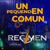 Un Pequeño En Común - Single