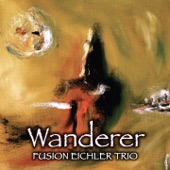 Fusion Eichler Trio - V Mexico City Nikdy Neprší