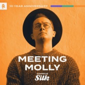 Monstercat 10 Year: Silk #1 (DJ Mix) artwork