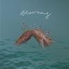 Shira - Blooming