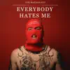 Everybody Hates Me song lyrics