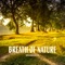 Breath of Nature - EmanMusic lyrics