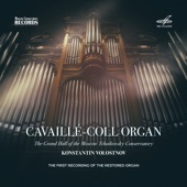 Cavaillé-Coll Organ of the Grand Hall of the Moscow Conservatory artwork