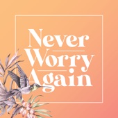 Never Worry Again (feat. Fred, Dean & Lynn) artwork