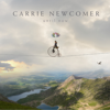 Carrie Newcomer - Until Now  artwork