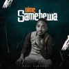 Nimesamehewa - Single