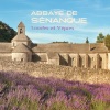 Abbaye de Sénanque - Laudes et Vêpres