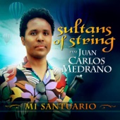 Sultans Of String - Mi Santuario