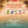 Sound Of Fiesta (Vamos a la Playa) [Feat. Shaggy] - Single