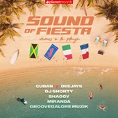 Sound Of Fiesta (Vamos a la Playa) [Feat. Shaggy] artwork