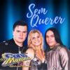 Sem Querer - Single