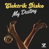 Elektrik Disko - My Destiny