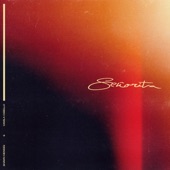 Shawn Mendes - Señorita