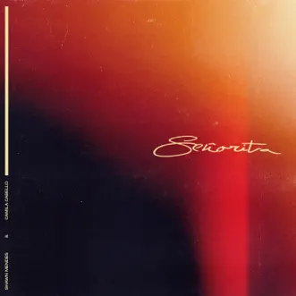 Señorita by Shawn Mendes & Camila Cabello song reviws