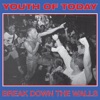 Break Down the Walls, 1986