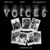 Voices (feat. Kwony Cash & Real Recognize Rio) - Single album lyrics, reviews, download
