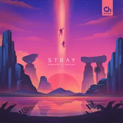 Stray - EP by Dontcry & Nokiaa album reviews, ratings, credits