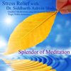 Stress Relief With Dr. Siddharth Ashvin Shah - Guided Meditation Using Self Hypnosis Techniques and Yoga Nidra Relaxation - Splendor of Meditation