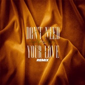 Don't Need Your Love (Thomas Godel Remix) artwork