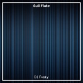 Suil Flute artwork