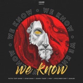 We Know (feat. Puthi Topi Gang, FADI, Ghauri, Xpolymer Dar, Star Shah & Ghani Tiger) artwork
