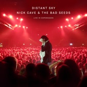 Nick Cave & The Bad Seeds - Distant Sky