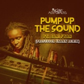Pump up the Sound (Professor Skank Remix) artwork