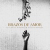 Brazos de Amor - Single