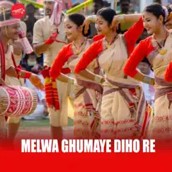 Melwa Ghumaye Diho Re Song Lyrics