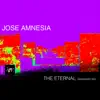 The Eternal - Single album lyrics, reviews, download