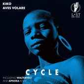 Cycle (Waltervelt Remix) artwork