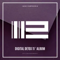 Digital Detox 11 by Igor Pumphonia album reviews, ratings, credits