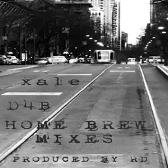 D4B Home Brew Mixes - EP by X-ale album reviews, ratings, credits