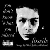 fossils (Songs By West Jeffery Deluxe)