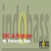 Mr. Perfectly Fine - Single