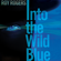 Into the Wild Blue (feat. Carlos Reyes & Jim Pugh) - Roy Rogers