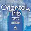 Stream & download Oriental Trip, Vol. 3 (Compiled by DJ Brahms)