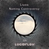 Naming Controversy - Single