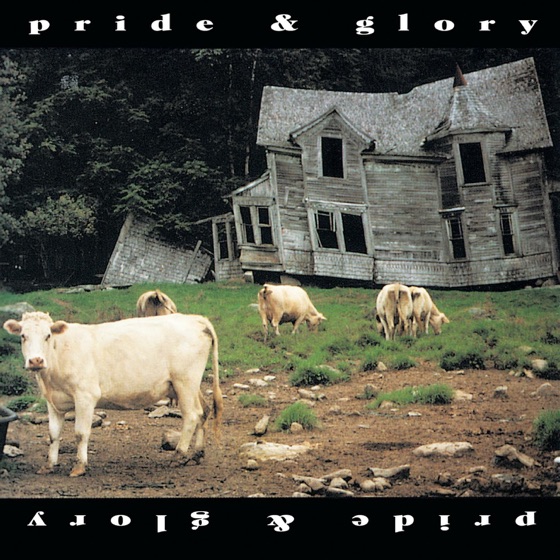 Cover artwork for The Wizard