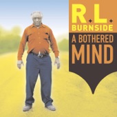 R.L. Burnside - Bird Without A Feather