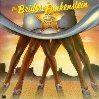 Brides Of Funkenstein Ablum Cover