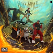 Bad Mind (feat. Layydoe) artwork