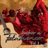 Sabor a Flamenco (Vol. 1)