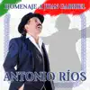 Homenaje a Juan Gabriel album lyrics, reviews, download